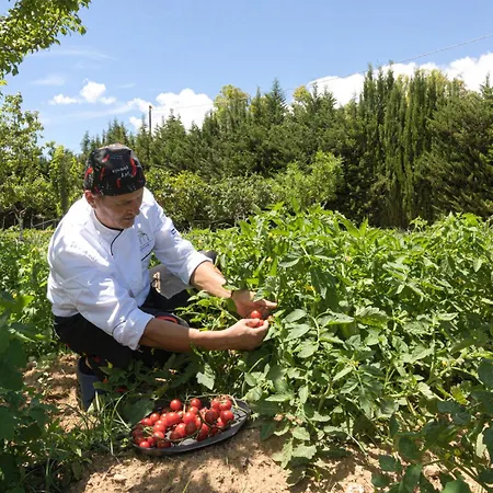Farm stay Biomasseria Santa Lucia