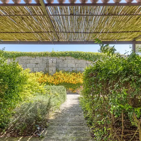 Biomasseria Santa Lucia مزرعة للإقامة أليسانو