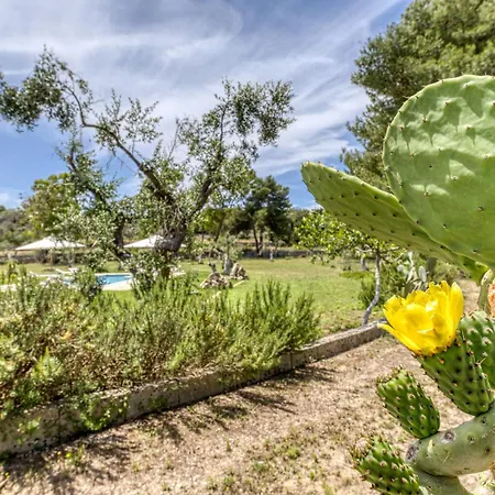 Biomasseria Santa Lucia Farm stay Alessano