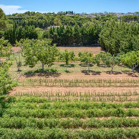 Biomasseria Santa Lucia Farm stay