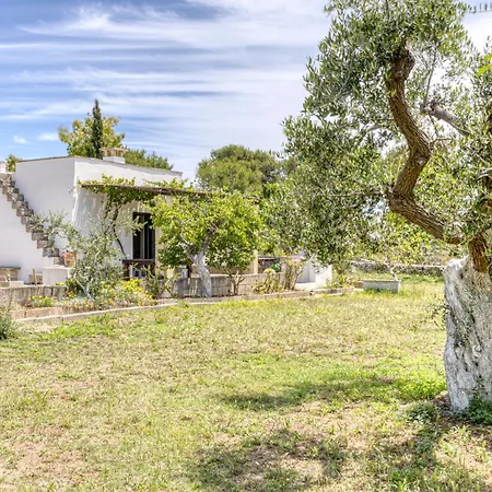 Biomasseria Santa Lucia * أليسانو